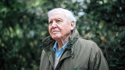 Musíme skončit se spalováním fosilních paliv, naléhá David Attenborough