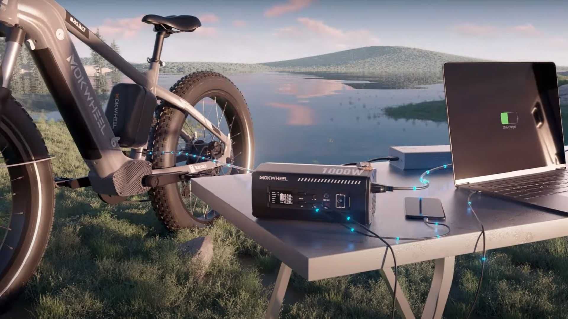 Elektrokolo Mokwheel Basalt