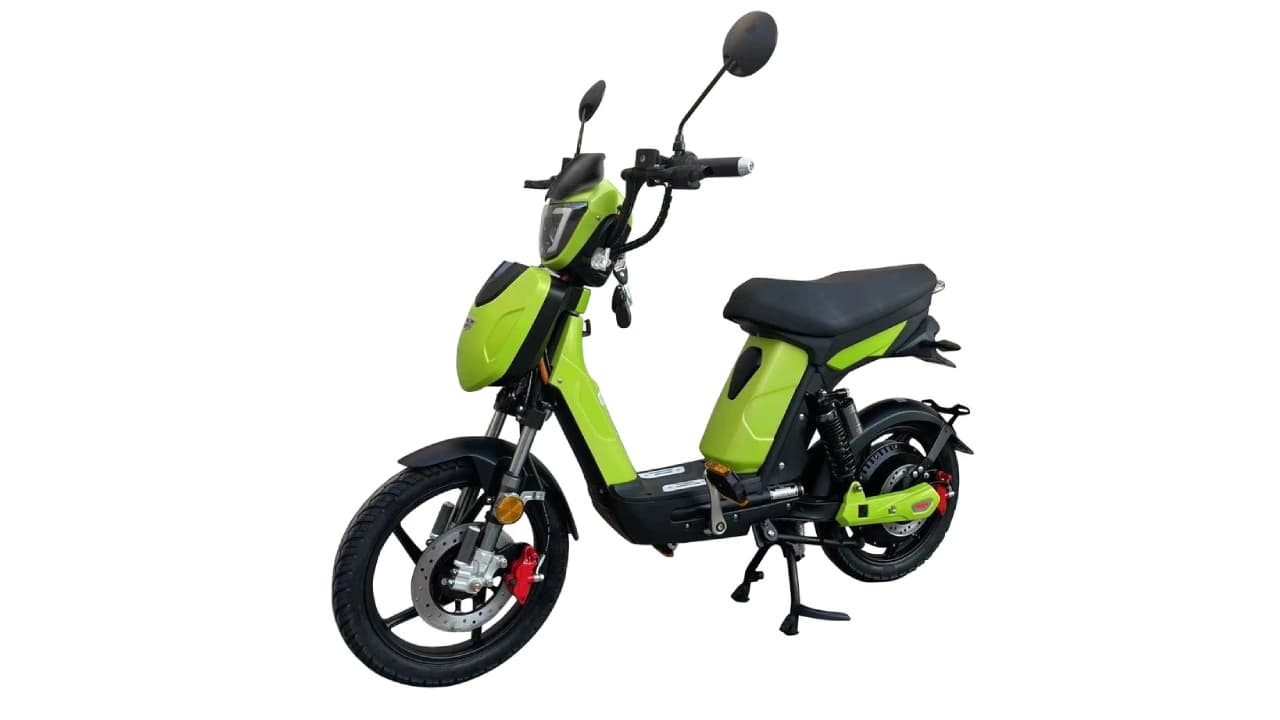 Hecht Betis Green