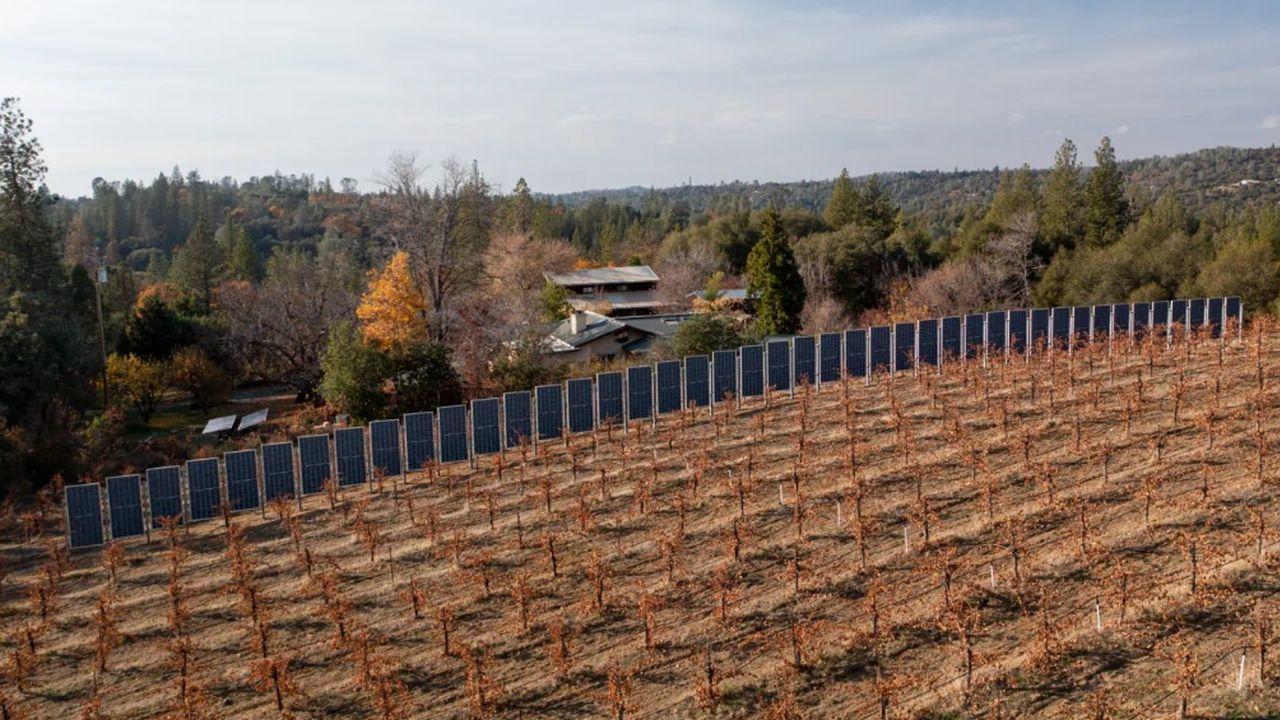 Vertikální fotovoltaické systémy jsou geniálním řešením pro farmáře