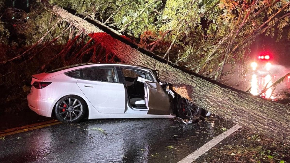 Zázrak na silnici: Tesla zdemolovaná spadlým stromem, posádka přežila