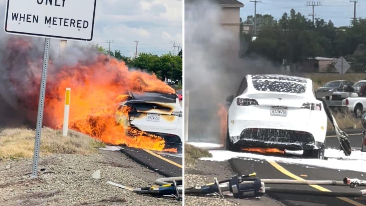 Z Tesly zbyla jen hromádka popela! Automobilka doporučila navštívit servis