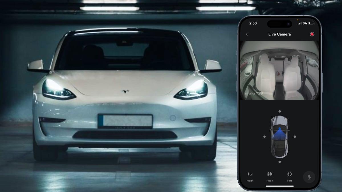 Tesla Sentry Mode Live Camera