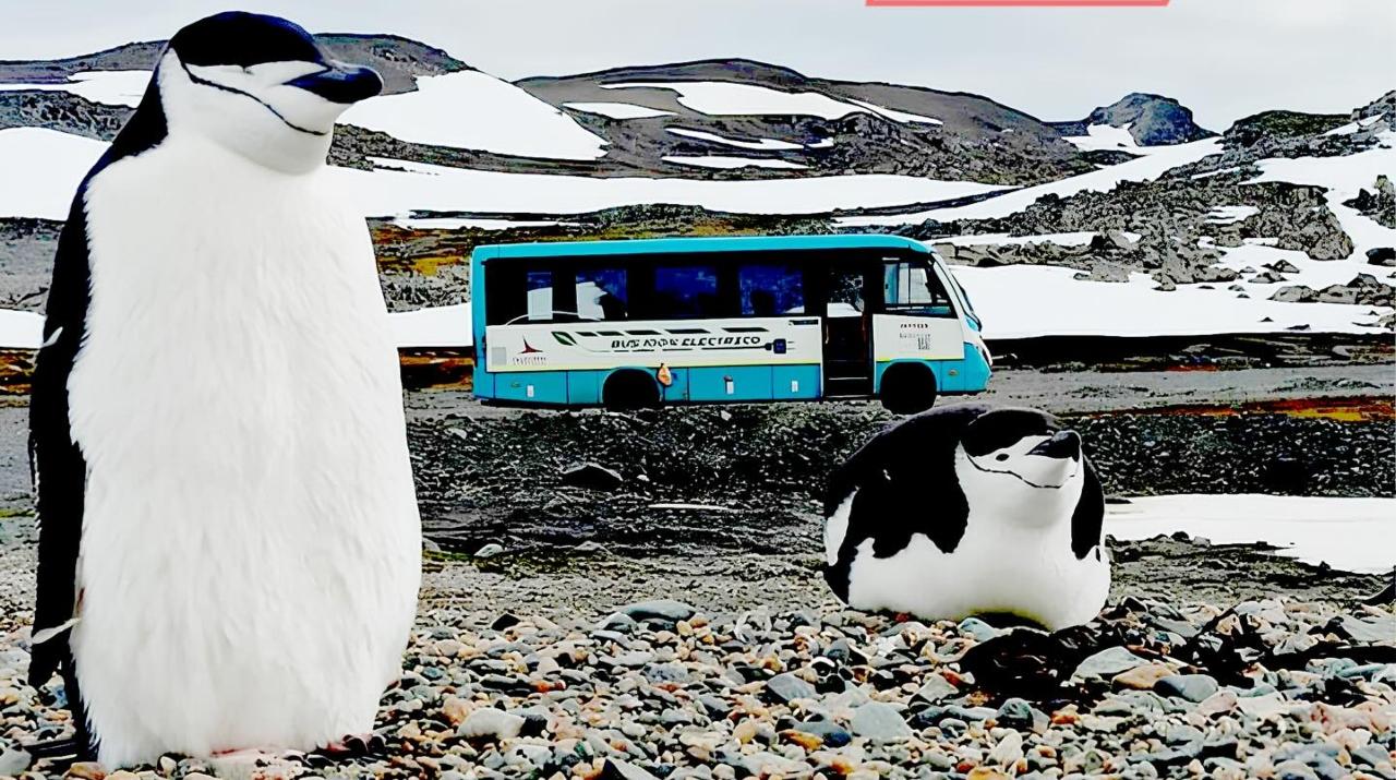 Na Antarktidě jezdí elektrický autobus. Extrémní podmínky mu nevadí