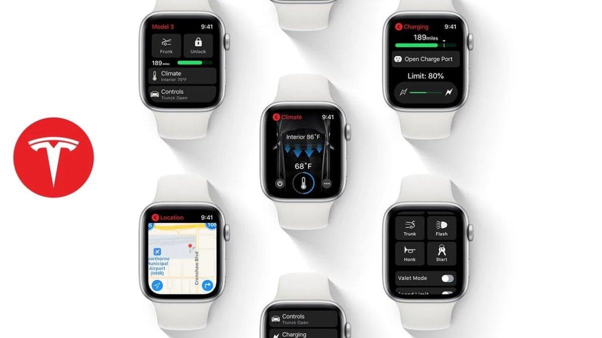 Fanouškovská představa, jak by mohla vypadat aplikace Tesly v Apple Watch | foto: Reddit/Naher94