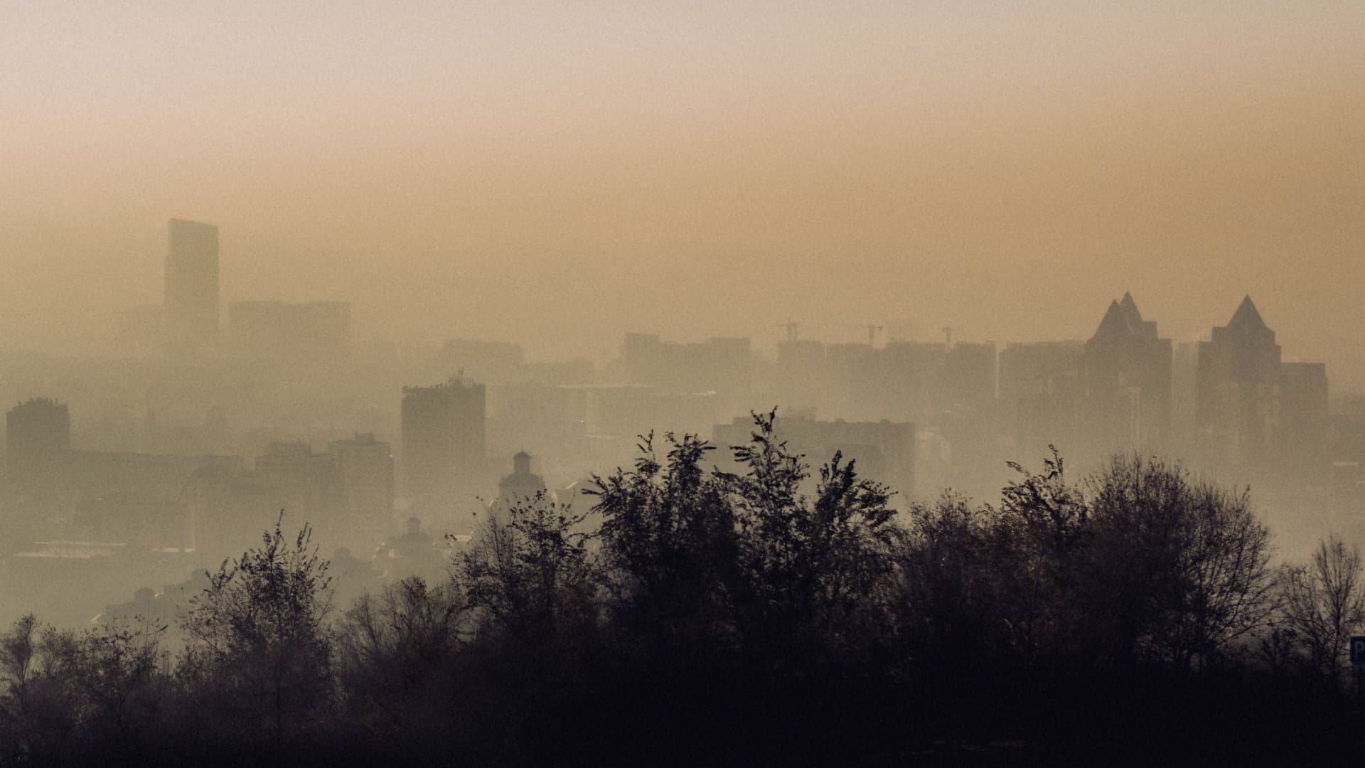 Smog ve městě | Zdroj: Pexels