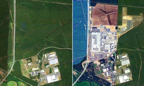 Tesla pokácela 500 000 stromů. Průmyslový les v Německu byl předem „odsouzený“