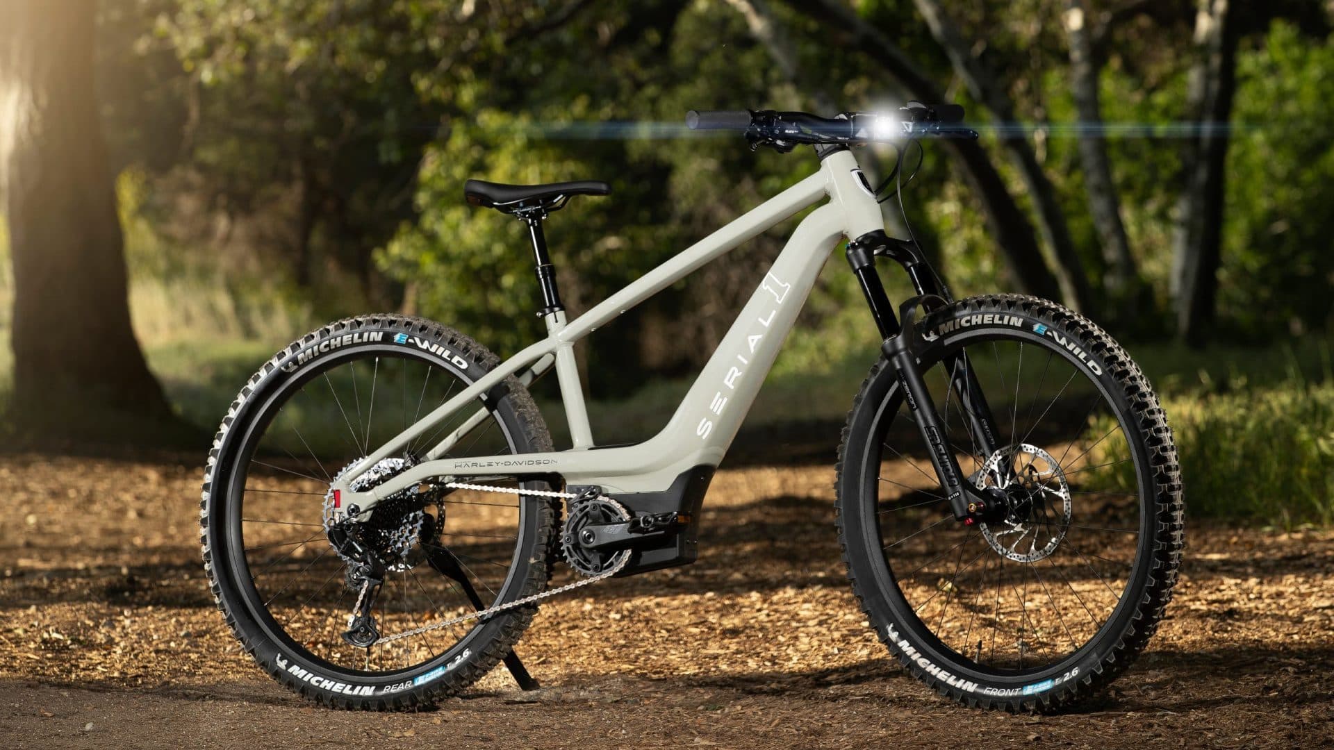 eMTB Serial1 SWITCH MTN