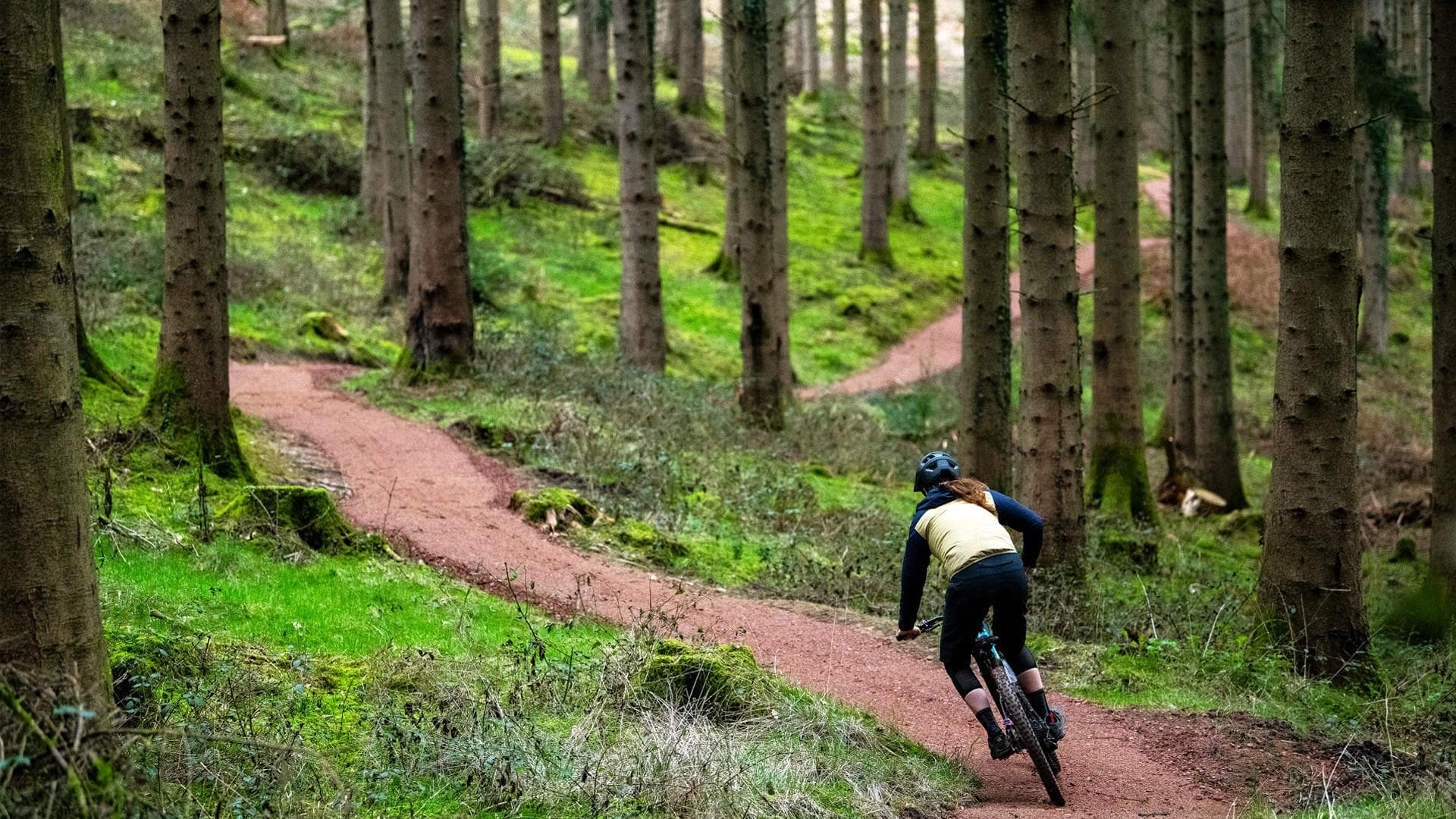 Cyklistka v lese, singletrail