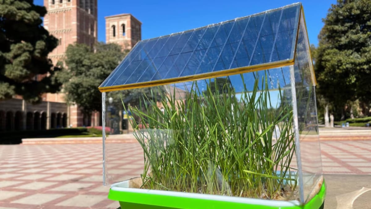 Poloprůhledný organický solární panel vědců z UCLA