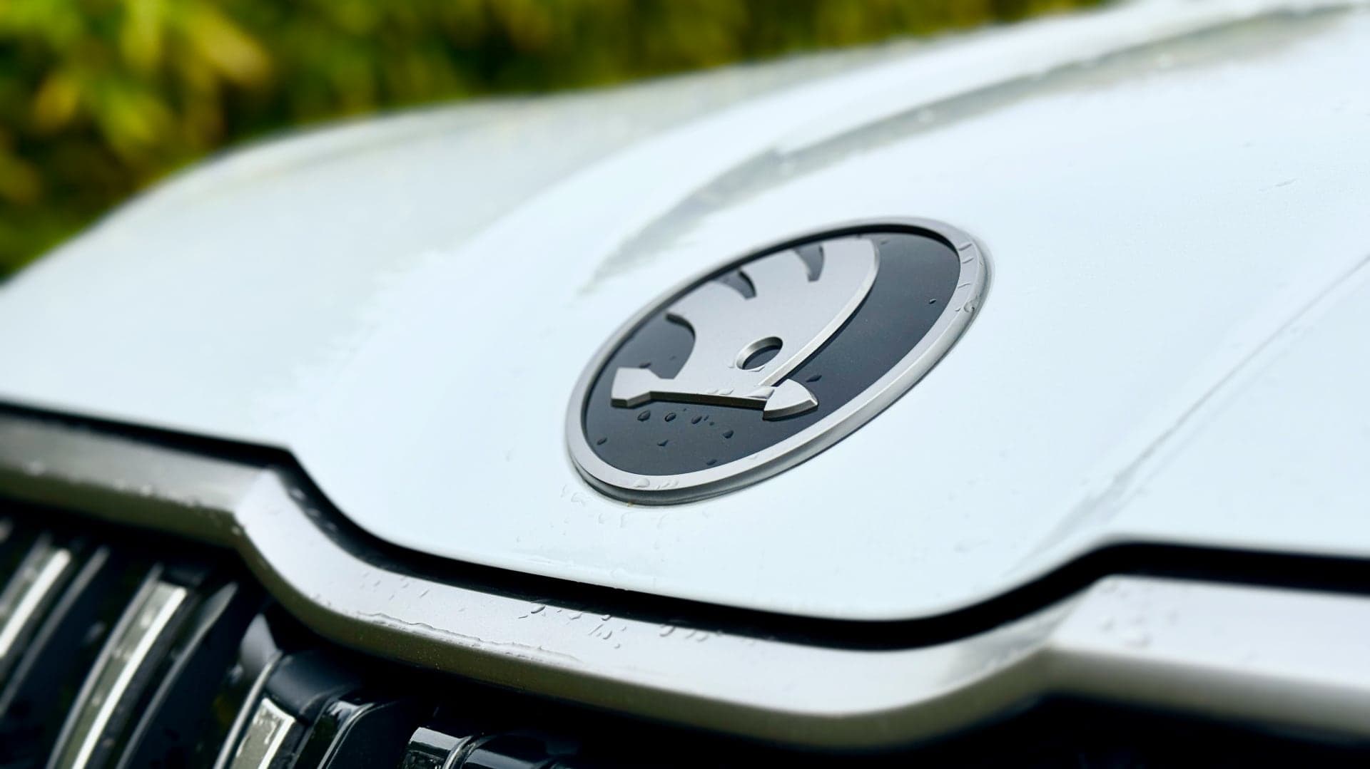 Logo Škoda Auto