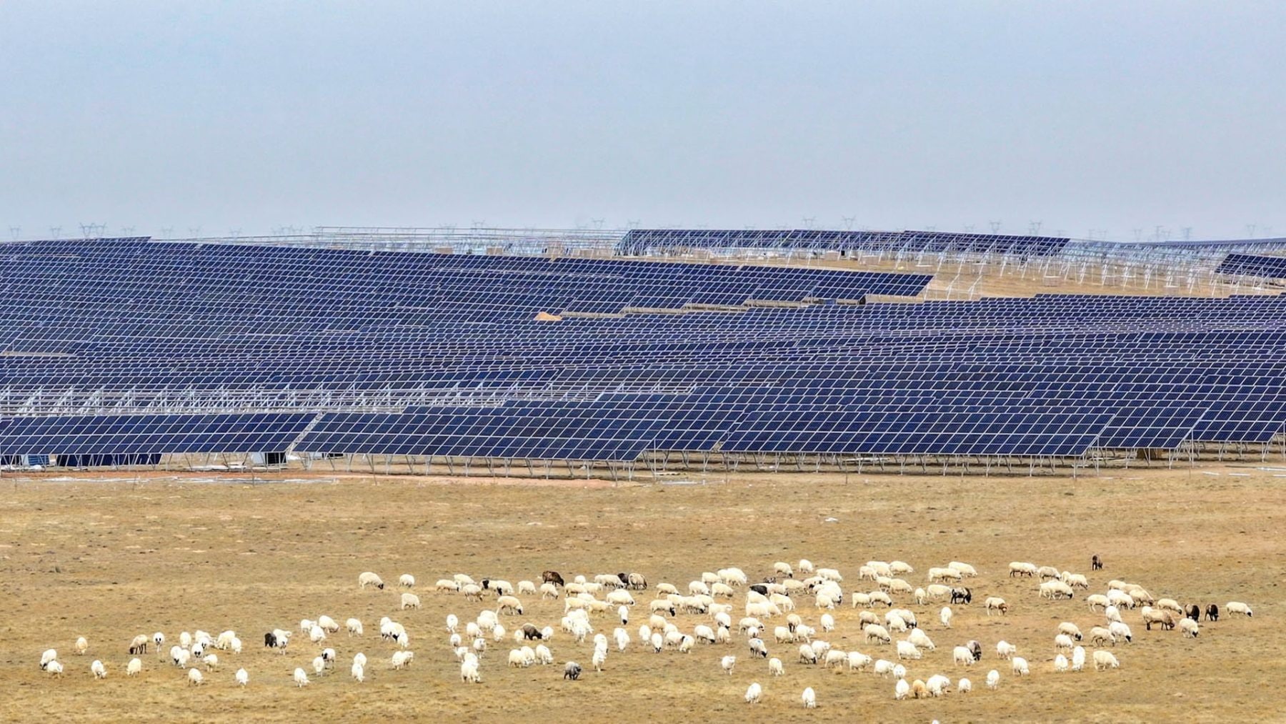 Solar Great Wall | foto: Xinhua, China Daily