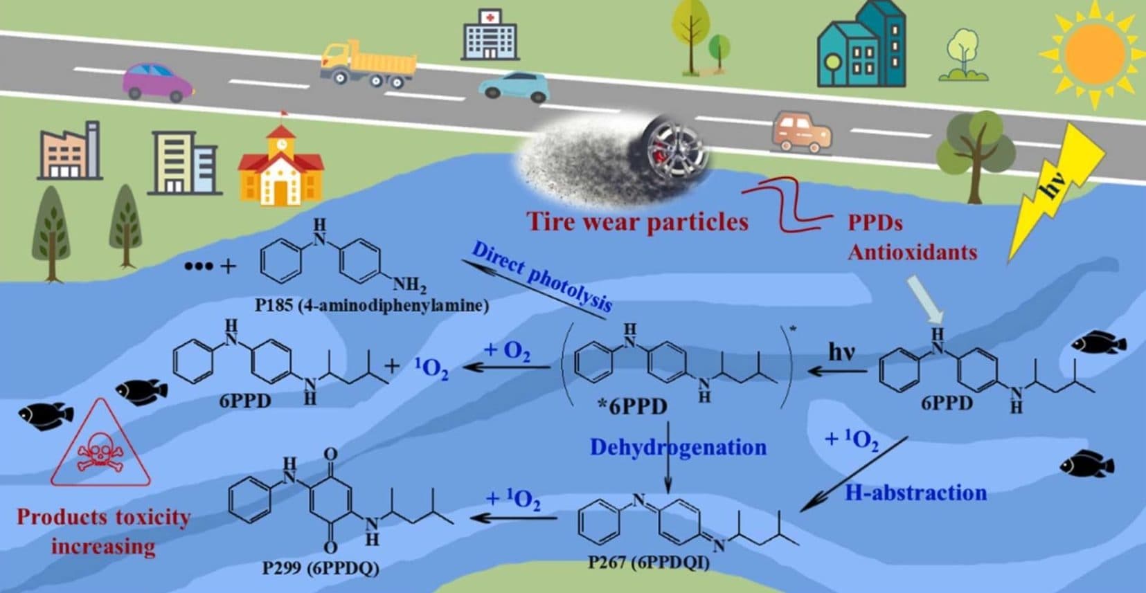 Opotřebením pneumatik vznikají částice, které ve vodním prostředí uvolňují toxické látky ohrožující vodní život | foto: Science Direct