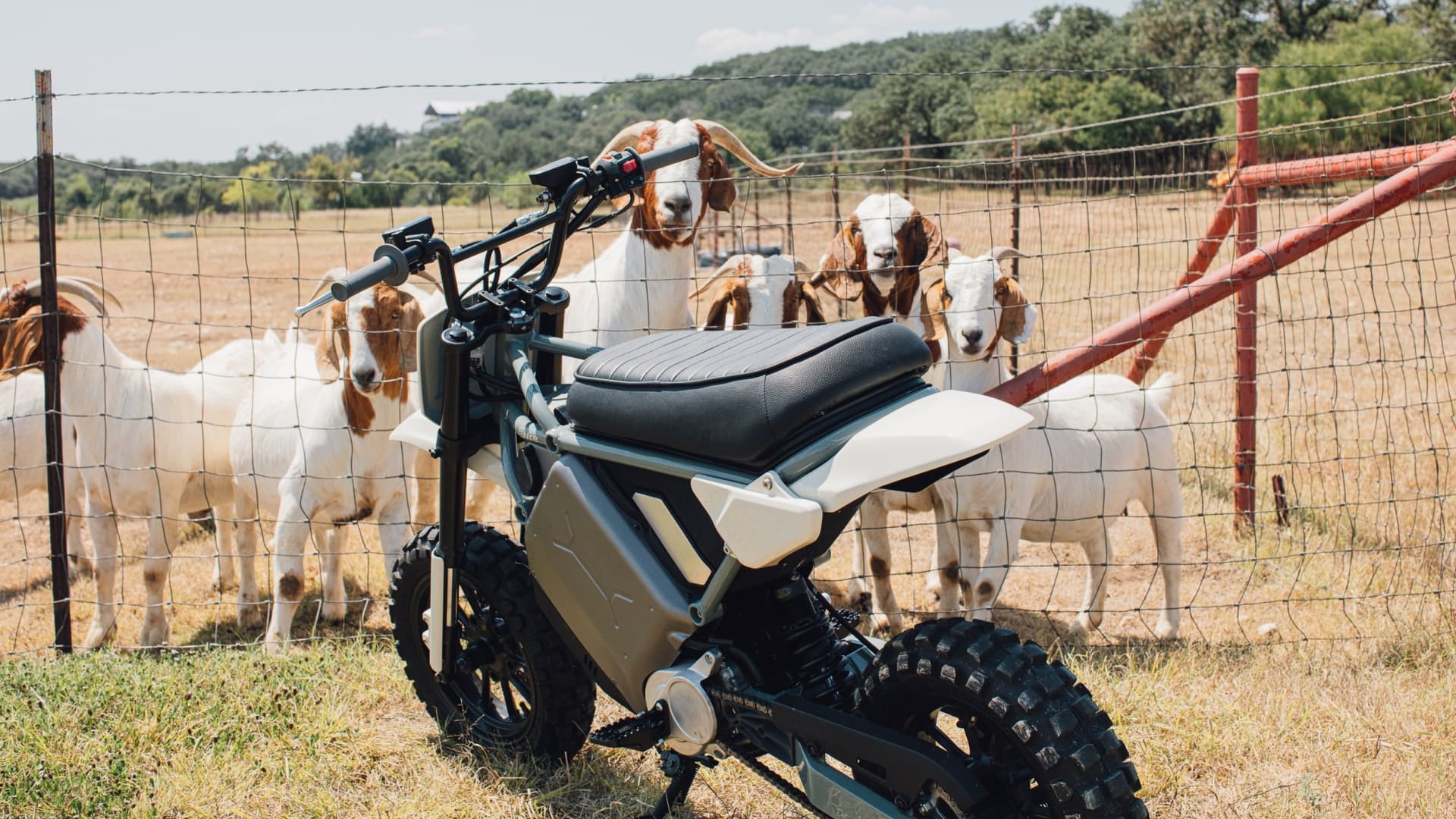 LiveWire S4 Honcho Trail | Zdroj: LiveWire