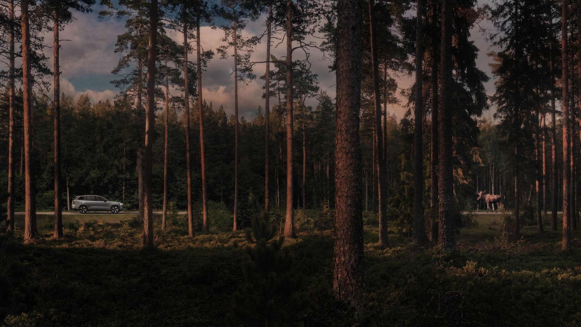 Volvo přidalo do systému Connected Safety pro EX60 a EX90 varování před velkou zvěří | Zdroj: Volvo